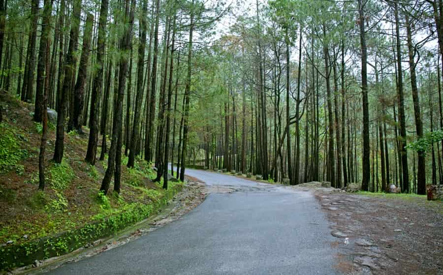 Dehradun to Lansdowne