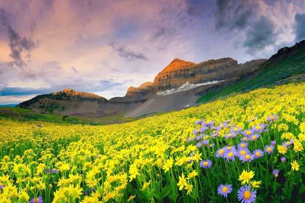 Top 10 Tourist Places in Uttarakhand 2024